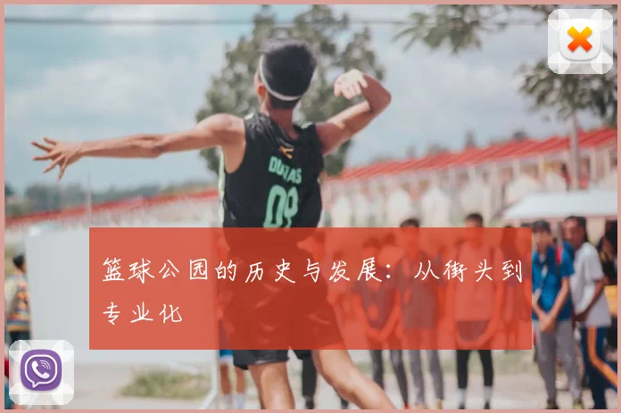 篮球公园的历史与发展：从街头到专业化