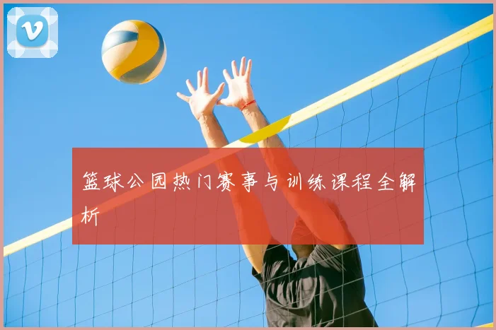 篮球公园热门赛事与训练课程全解析